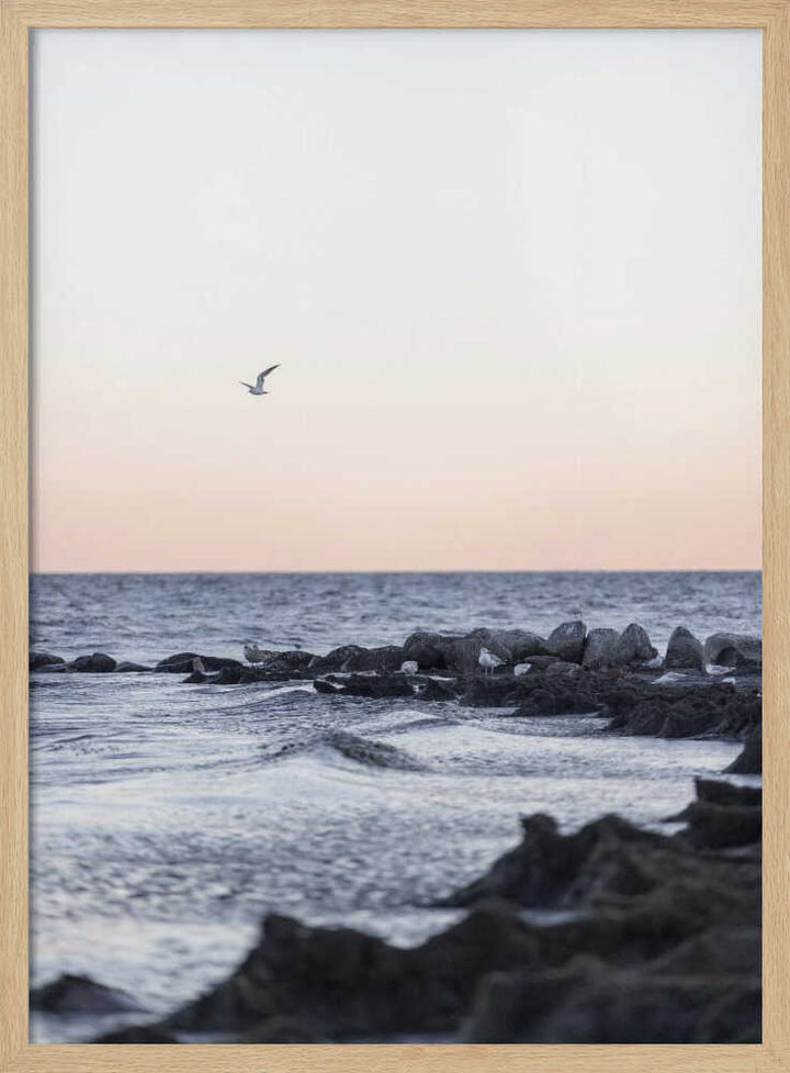 Coast Landscapes 5