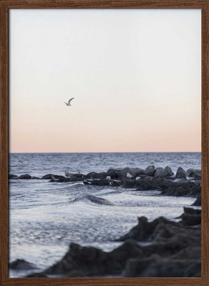 Coast Landscapes 5