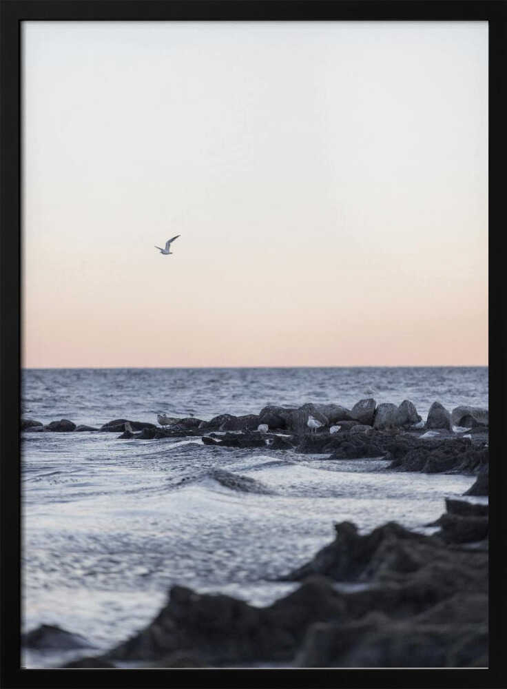 Coast Landscapes 5