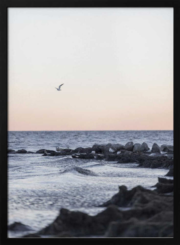 Coast Landscapes 5