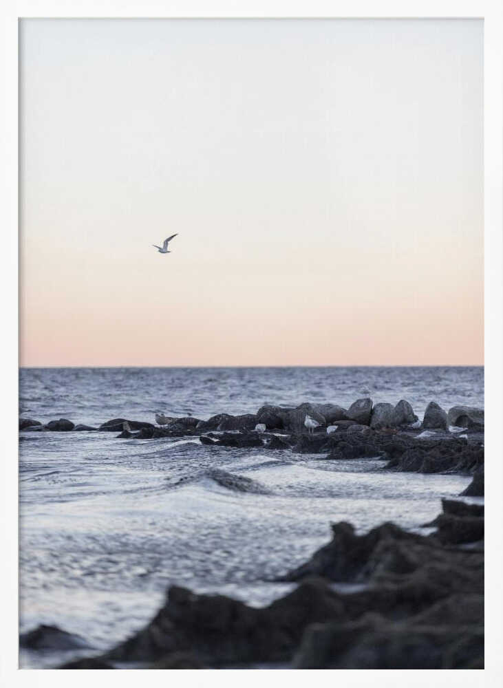 Coast Landscapes 5