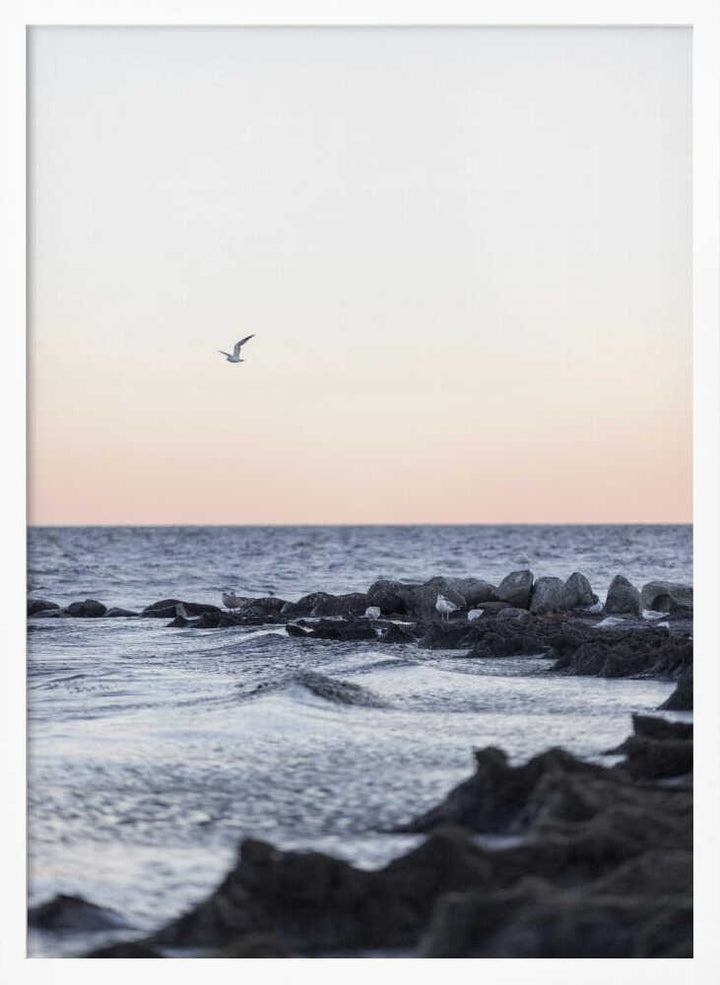 Coast Landscapes 5