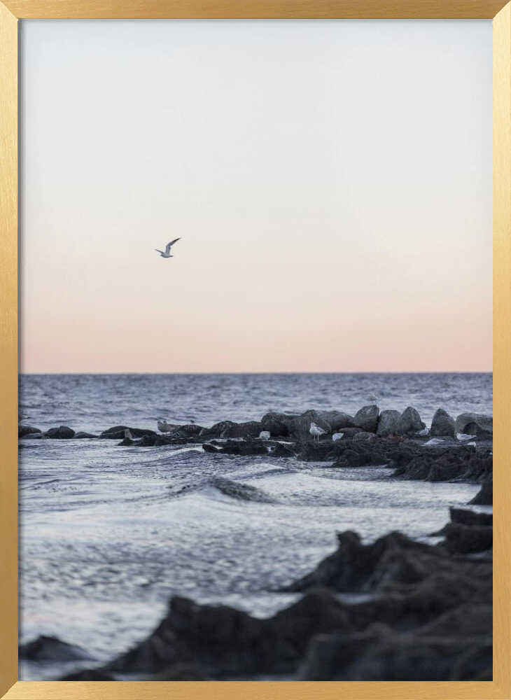 Coast Landscapes 5
