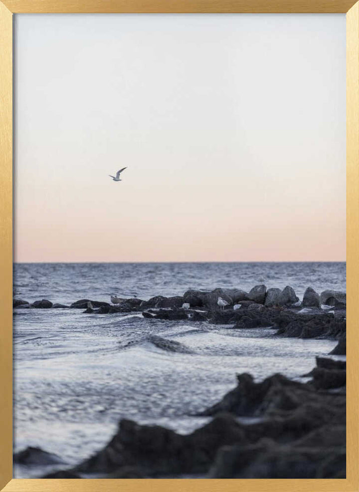 Coast Landscapes 5