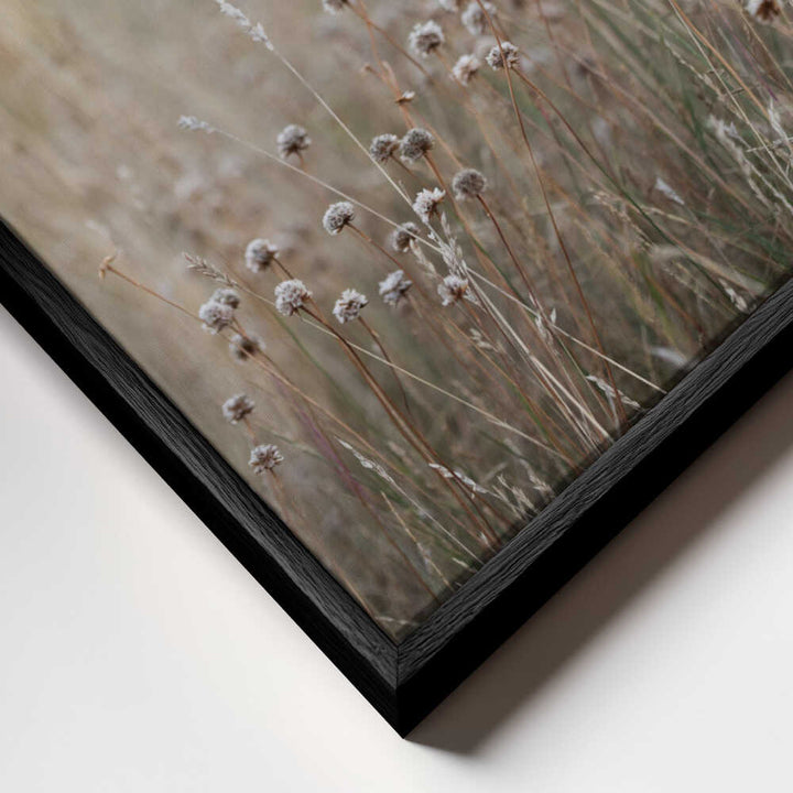 Coast Landscapes 4
