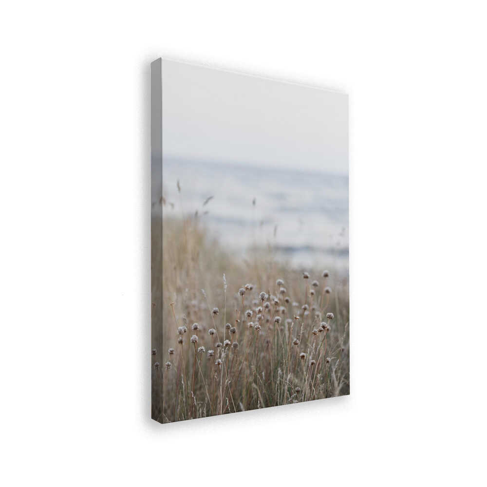 Coast Landscapes 4