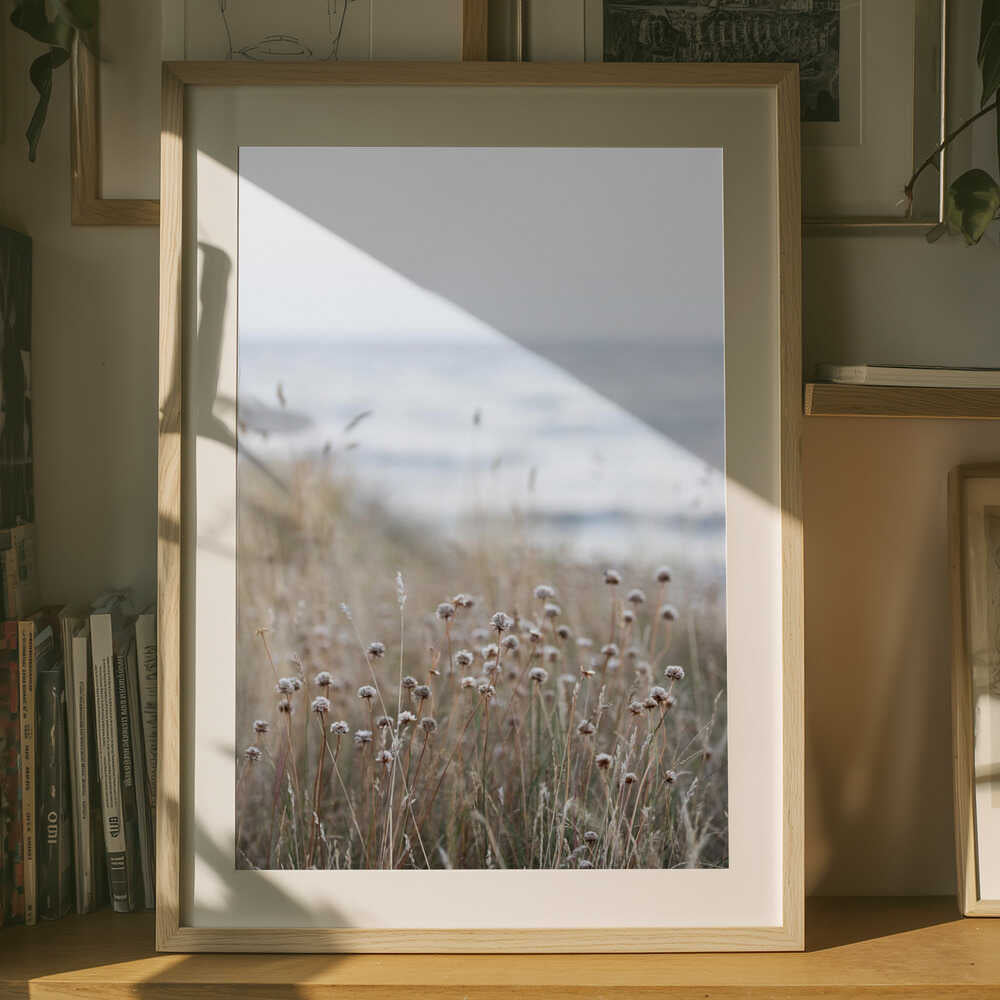 Coast Landscapes 4