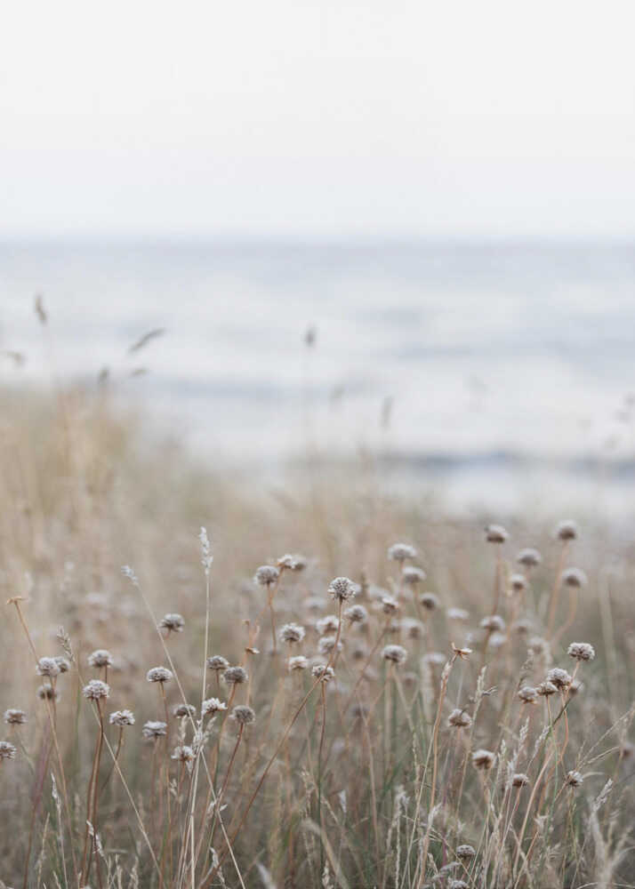 Coast Landscapes 4