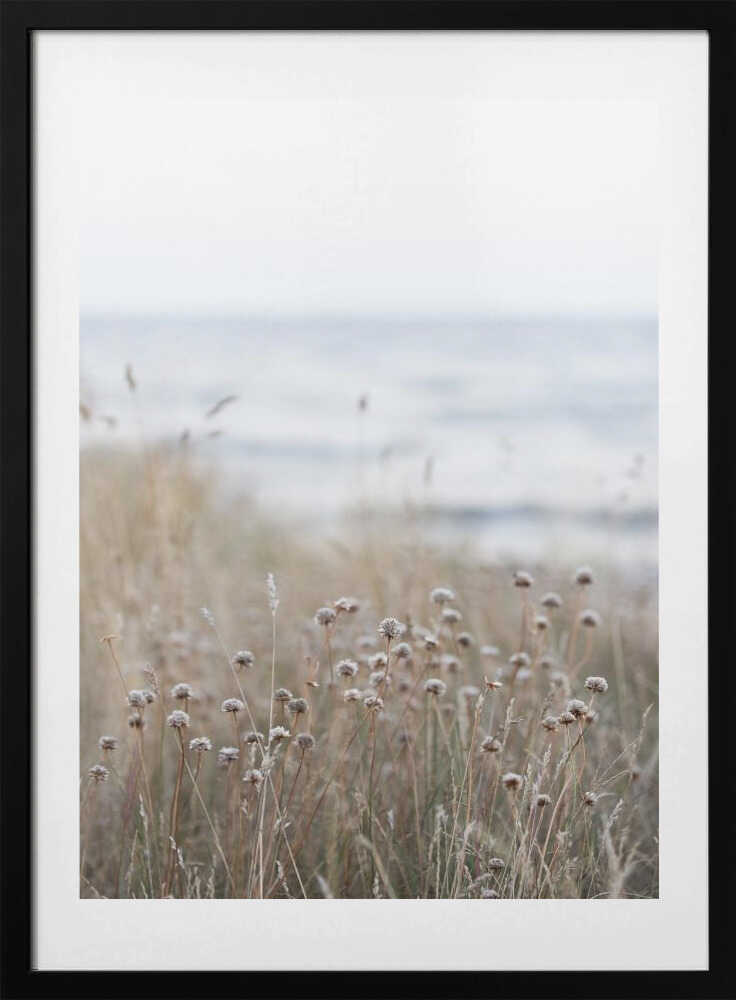 Coast Landscapes 4