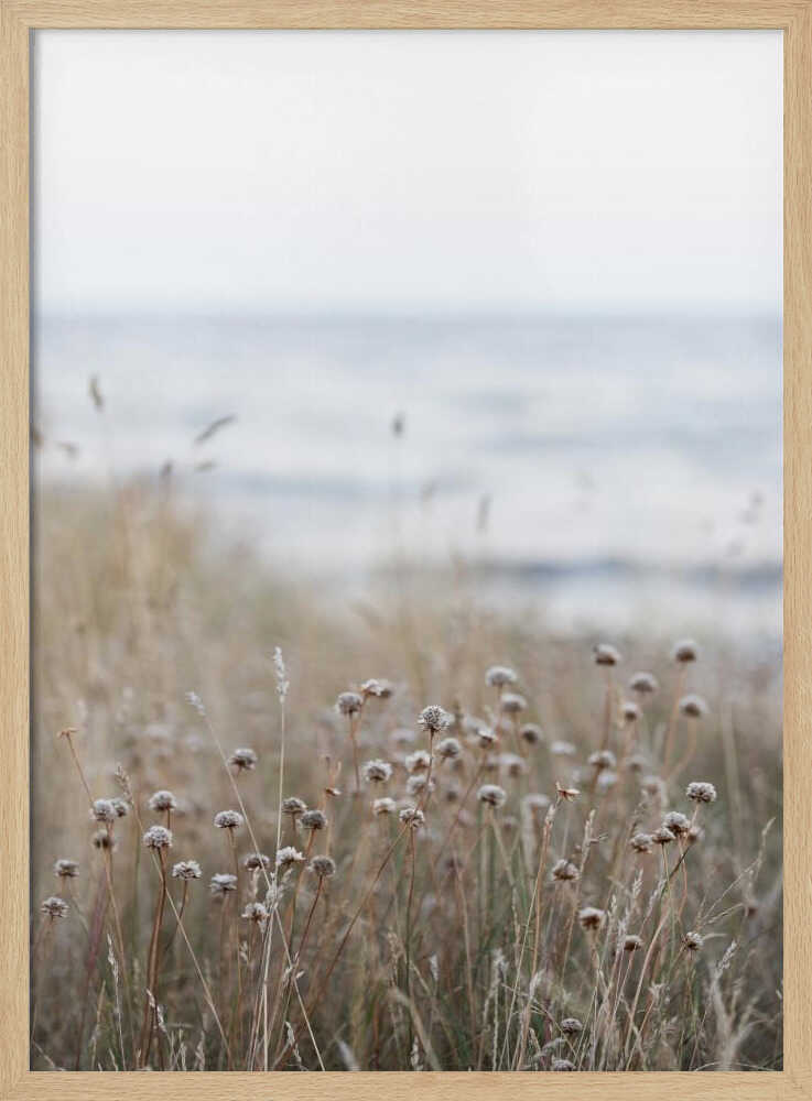Coast Landscapes 4