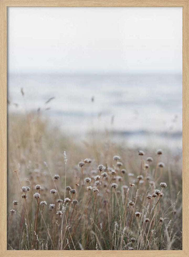 Coast Landscapes 4