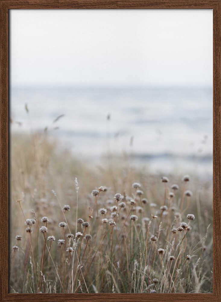 Coast Landscapes 4