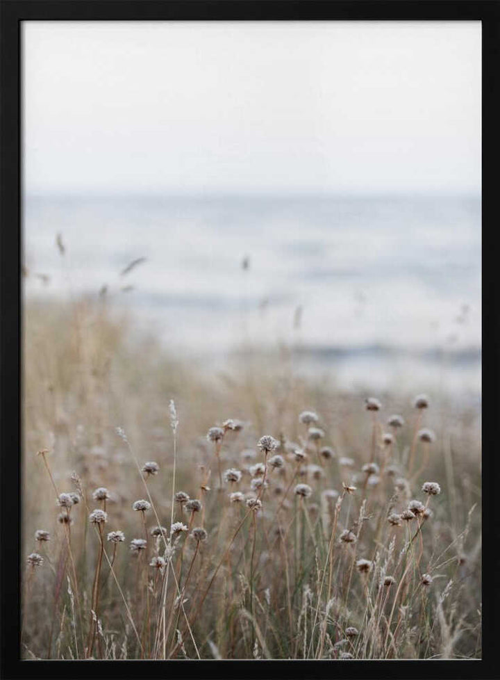 Coast Landscapes 4