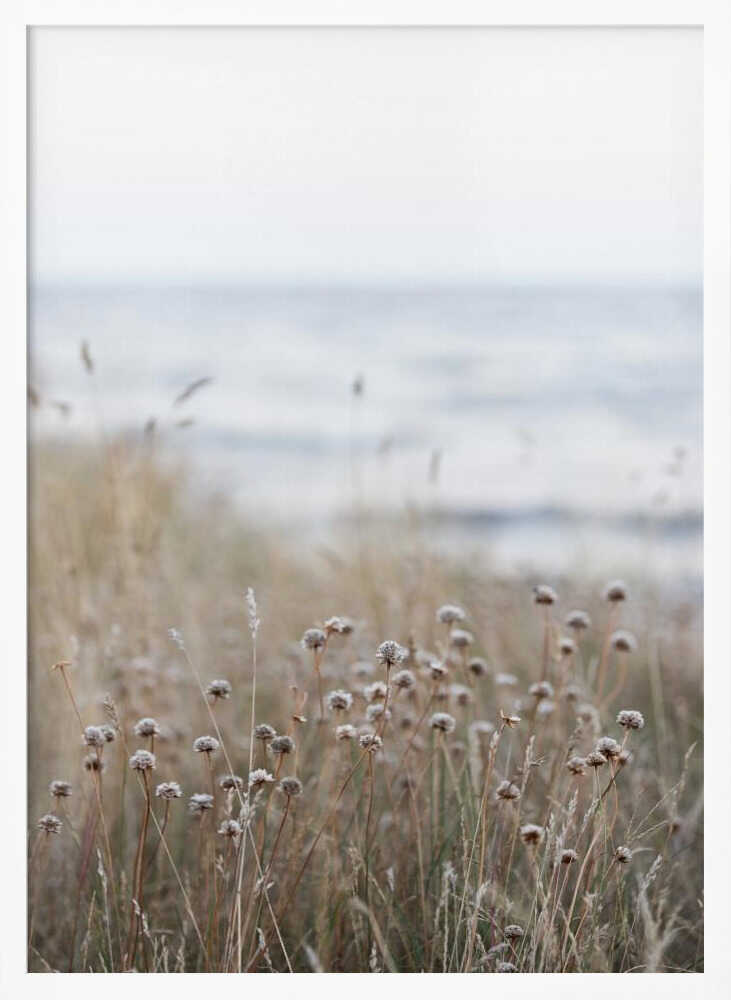 Coast Landscapes 4