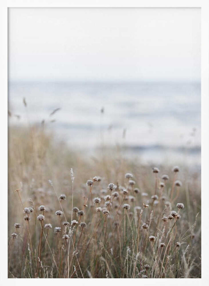 Coast Landscapes 4