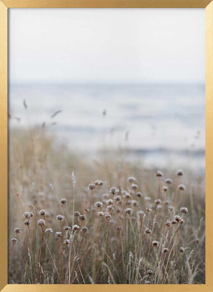 Coast Landscapes 4