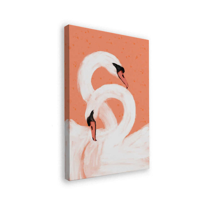 Graceful Swans