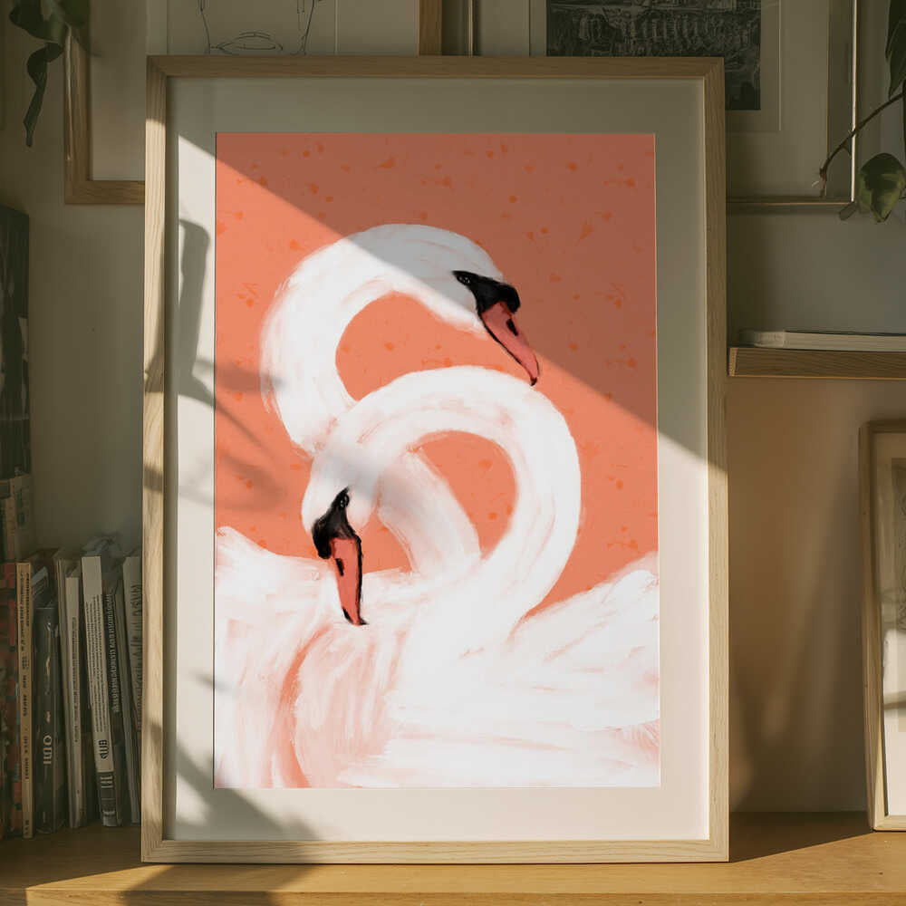 Graceful Swans