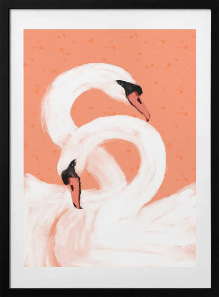 Graceful Swans