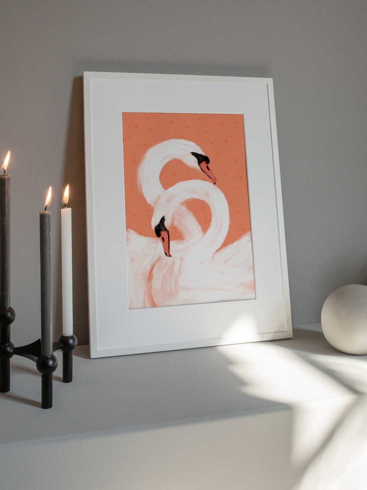 Graceful Swans