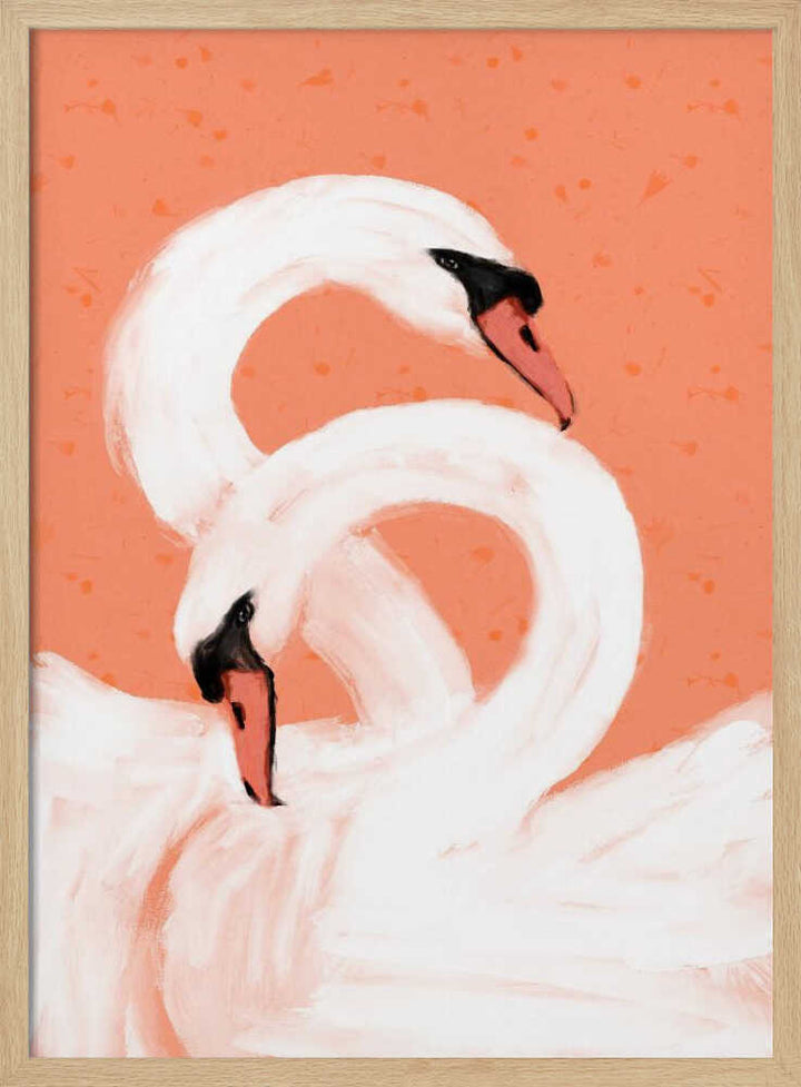 Graceful Swans