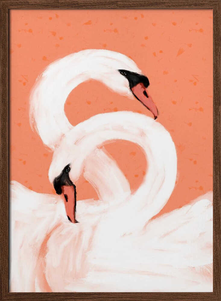 Graceful Swans