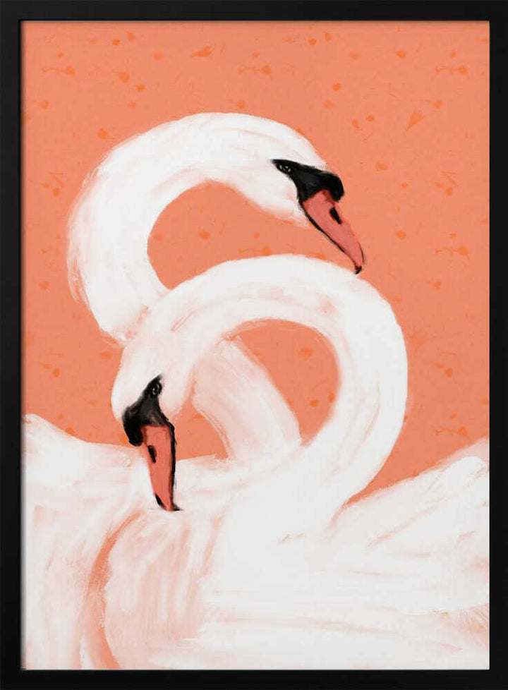 Graceful Swans
