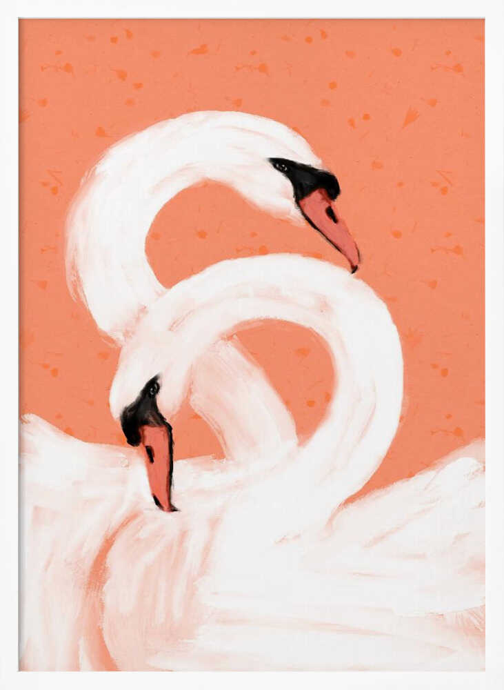 Graceful Swans