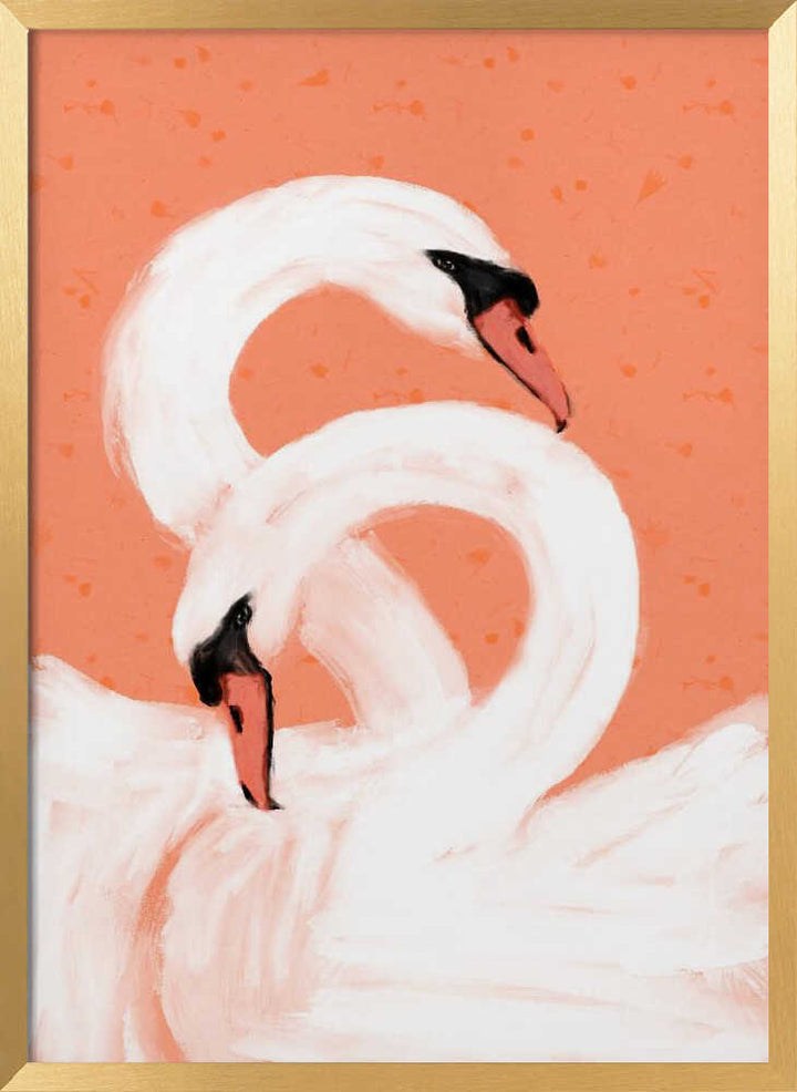 Graceful Swans