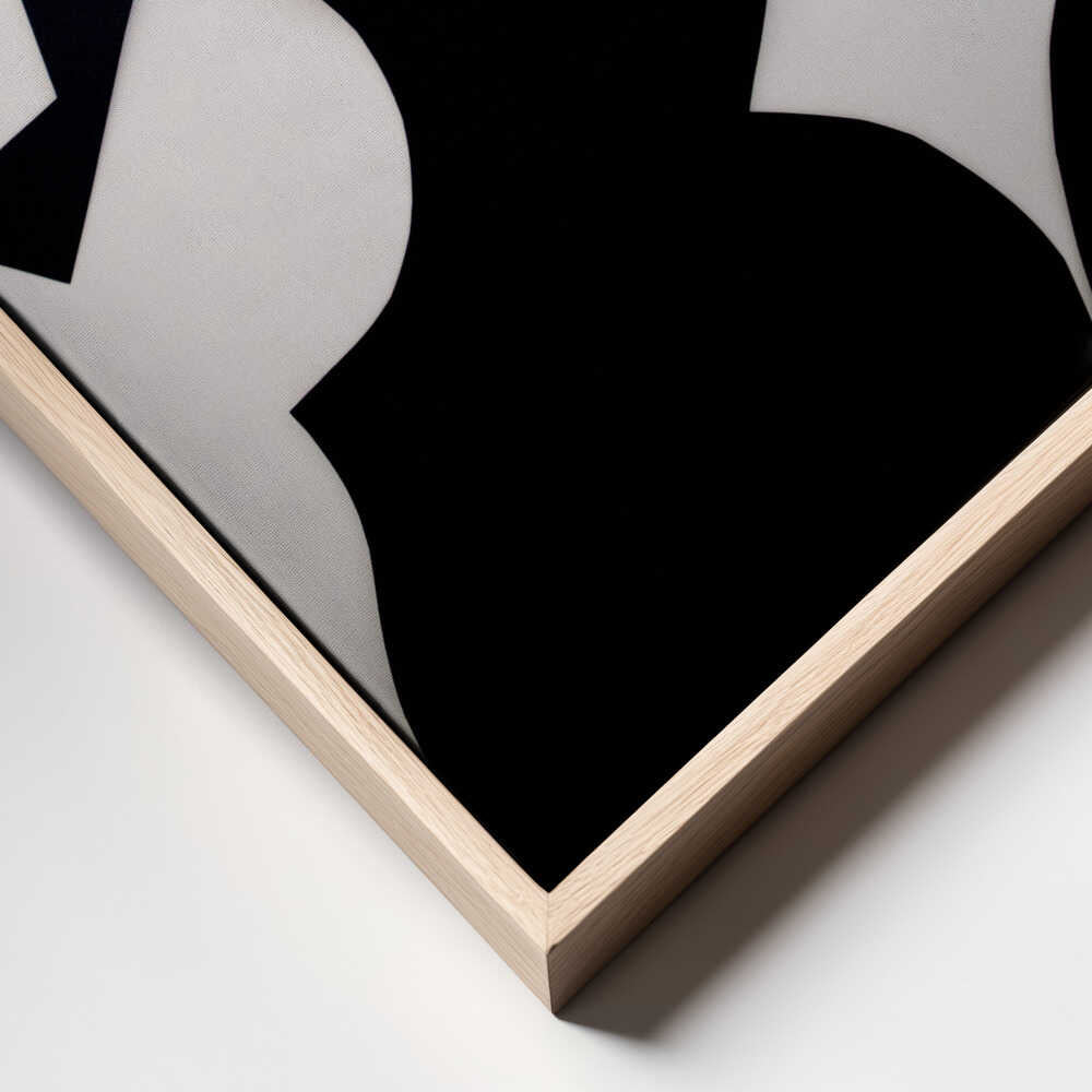Black White Abstract Shapes