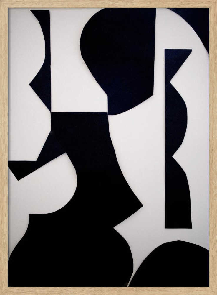 Black White Abstract Shapes