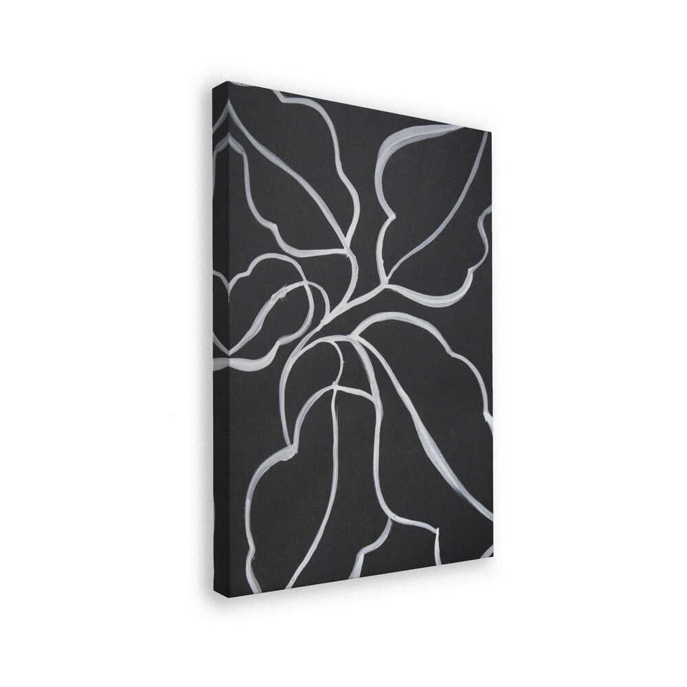 Botanical Line Art