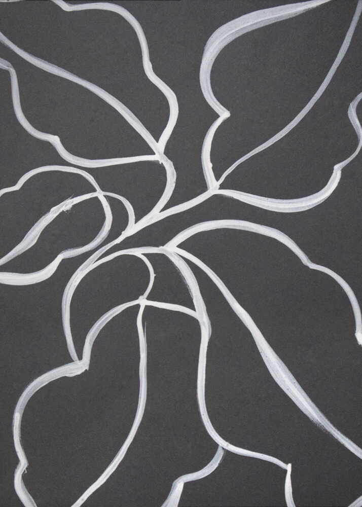 Botanical Line Art