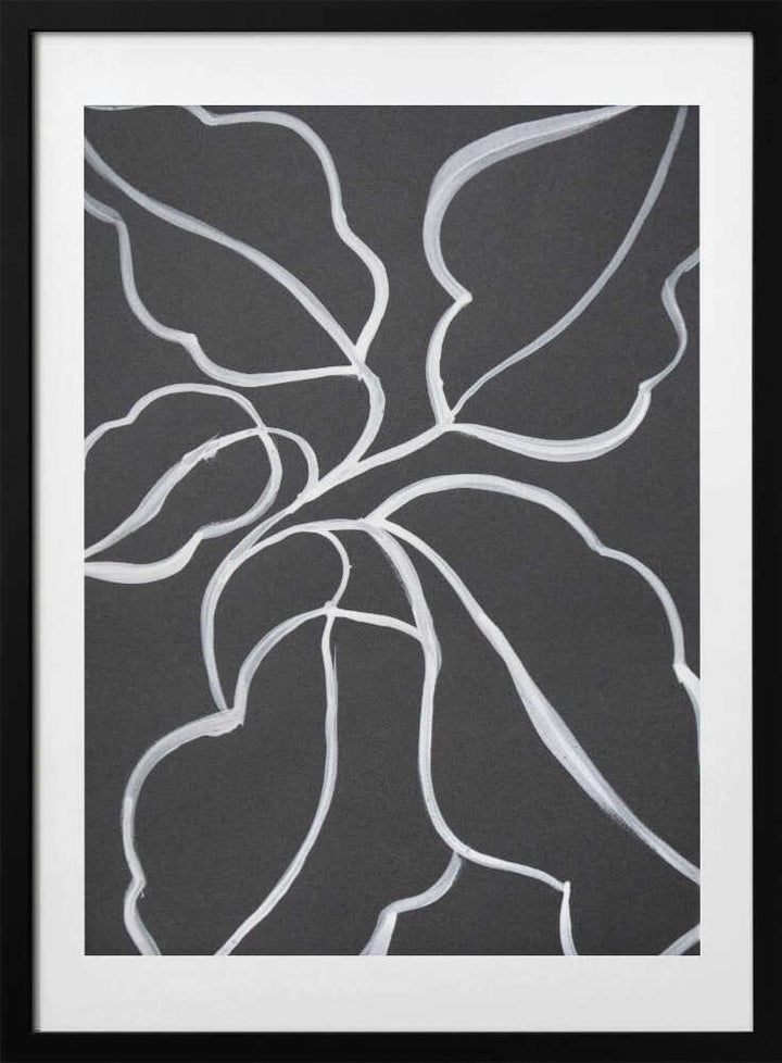 Botanical Line Art