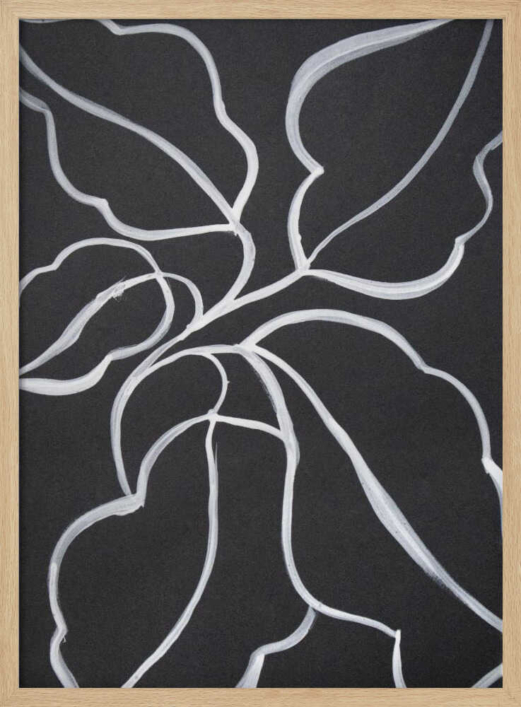 Botanical Line Art