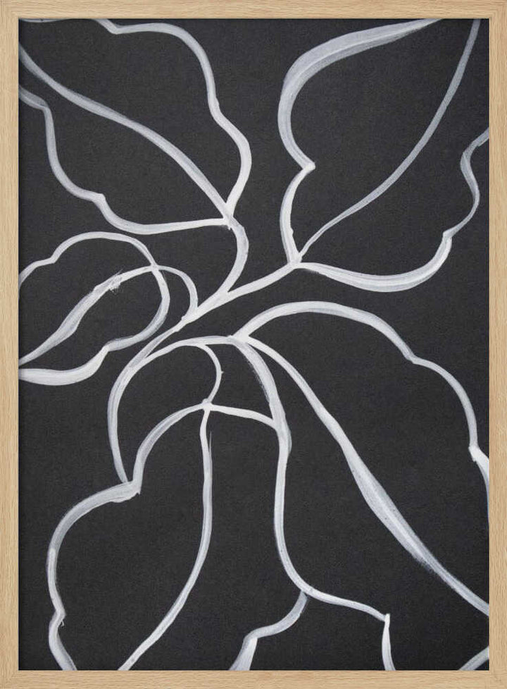 Botanical Line Art