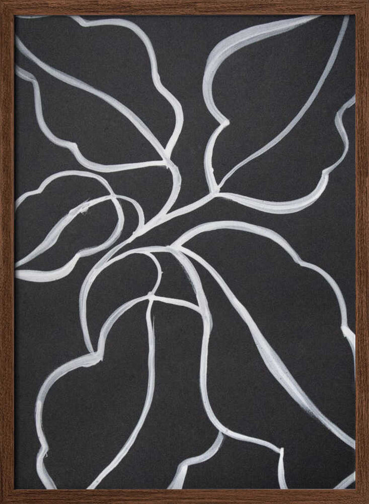 Botanical Line Art