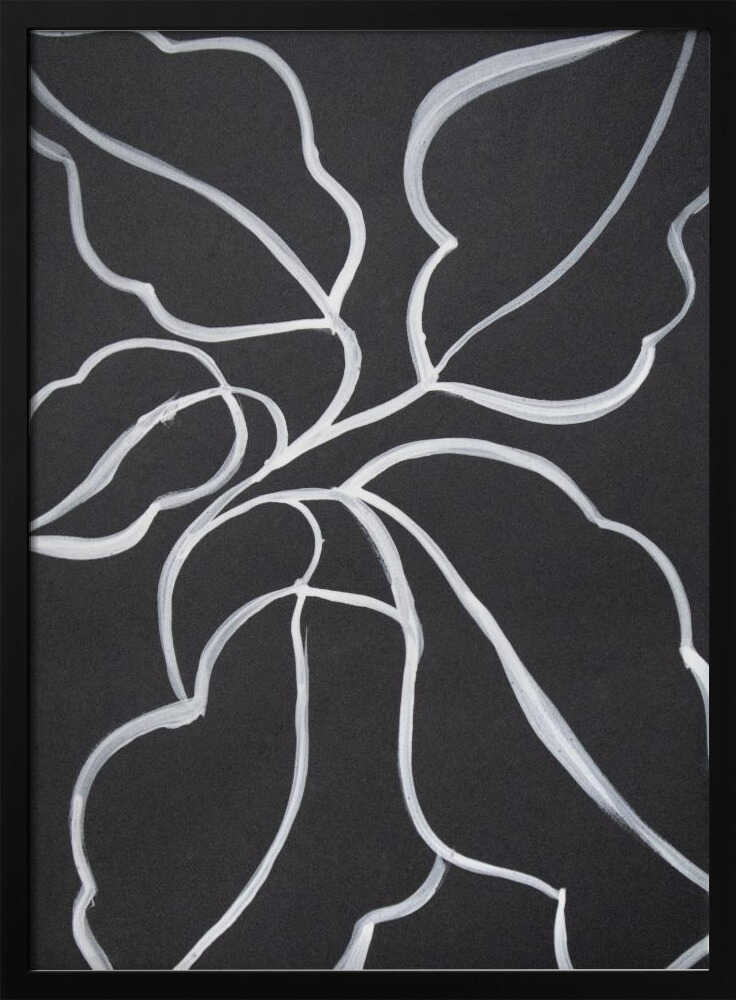 Botanical Line Art