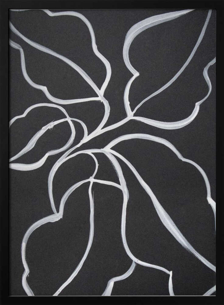 Botanical Line Art