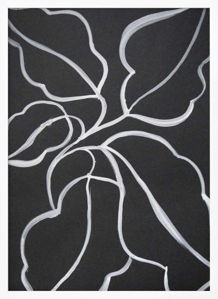 Botanical Line Art