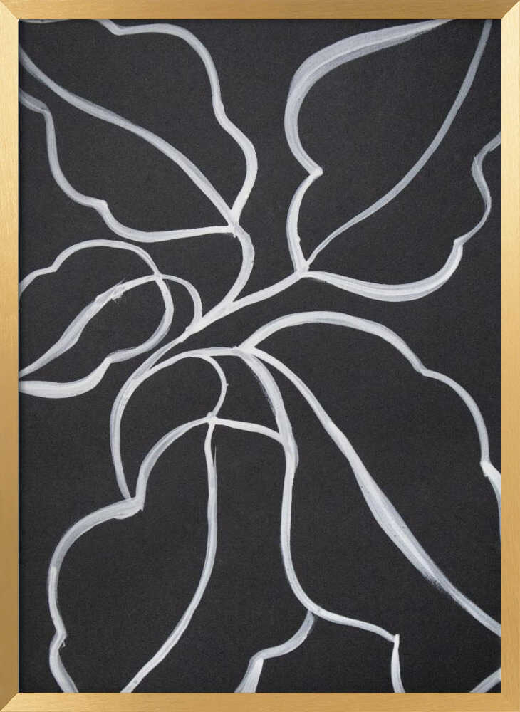 Botanical Line Art