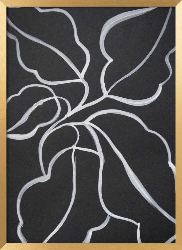 Botanical Line Art