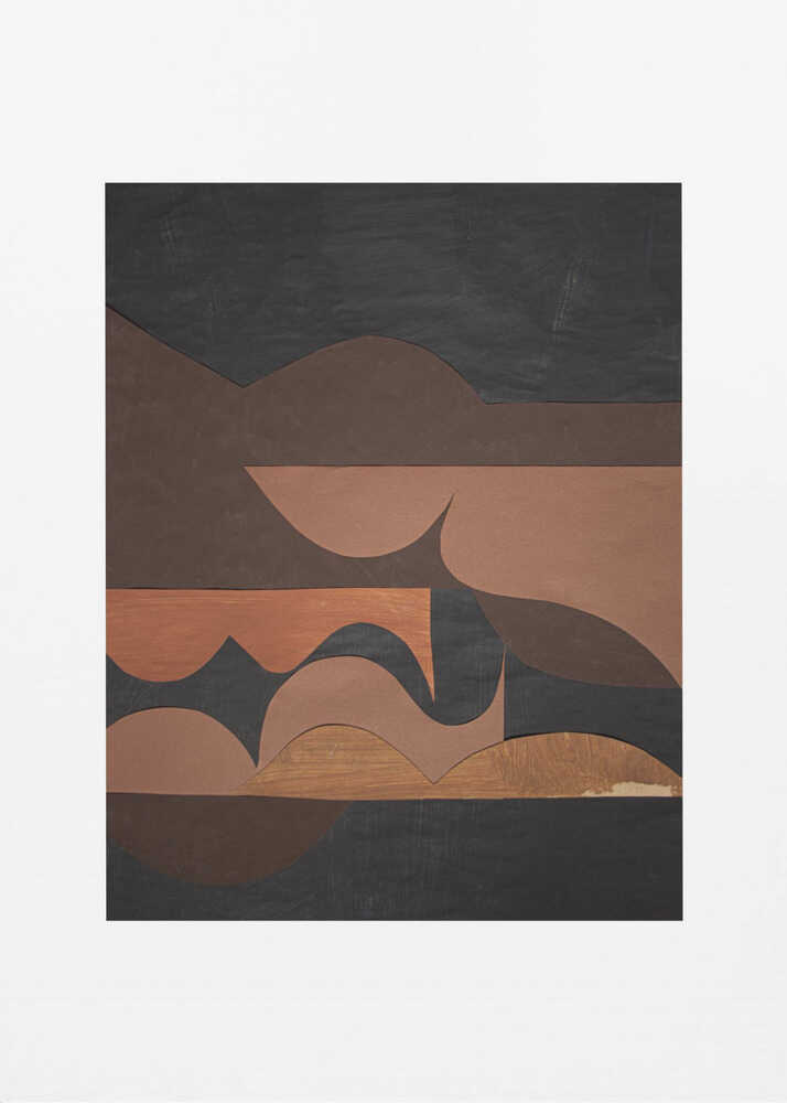 Earthy Organic Shapes