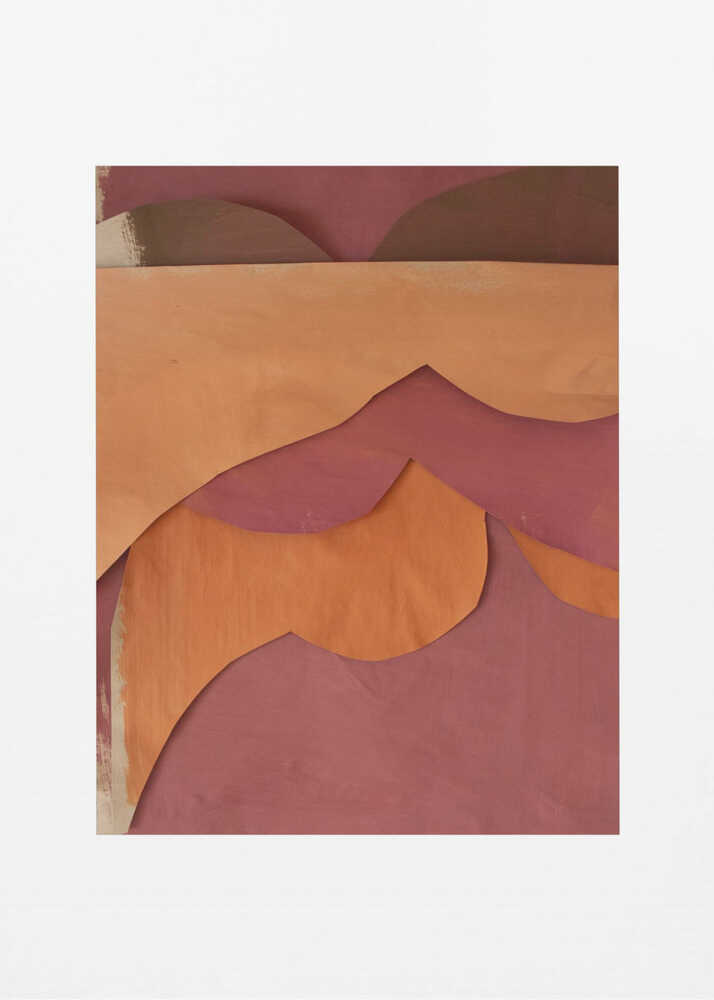 Earthy Abstract Curves