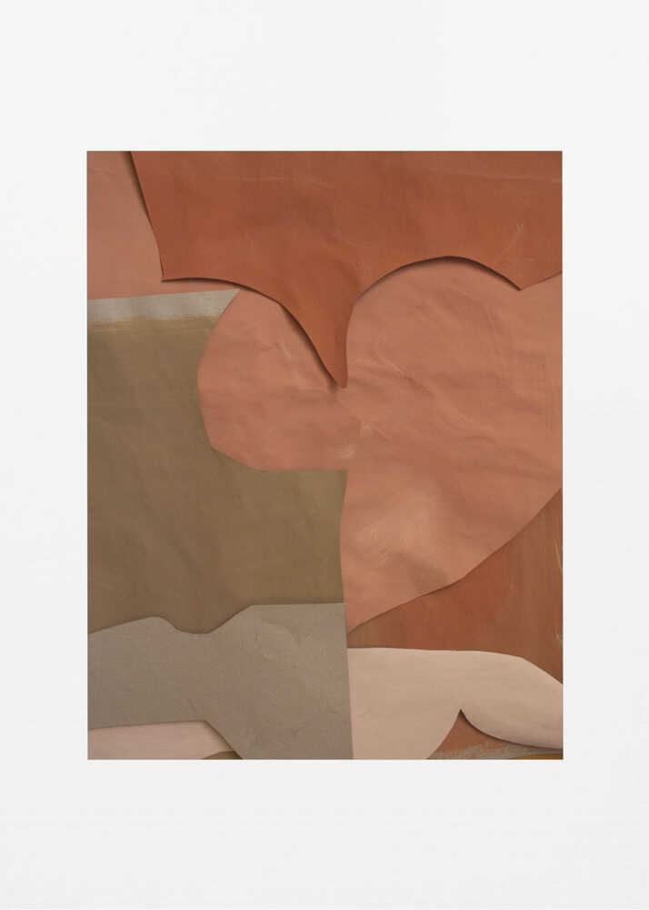 Earthy Leather Abstract