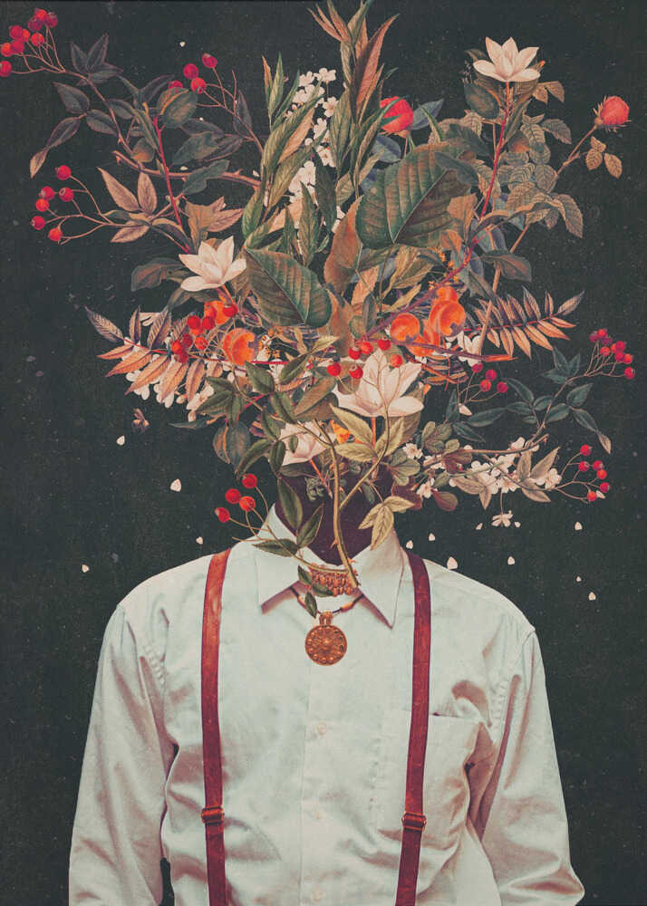 Foliage by Frank Moth