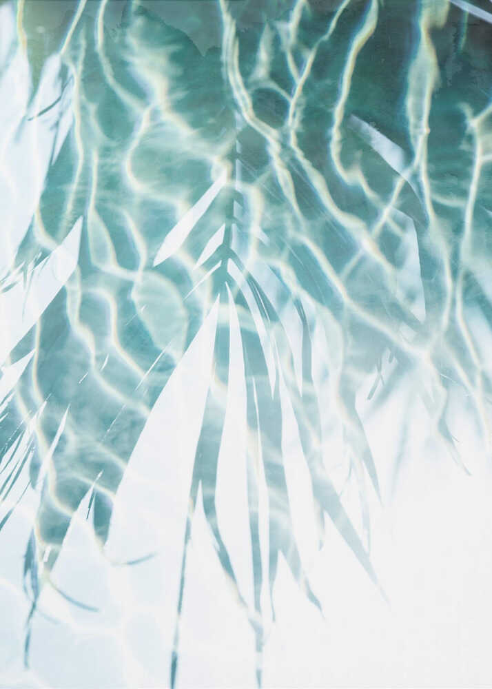 Water Reflections 2