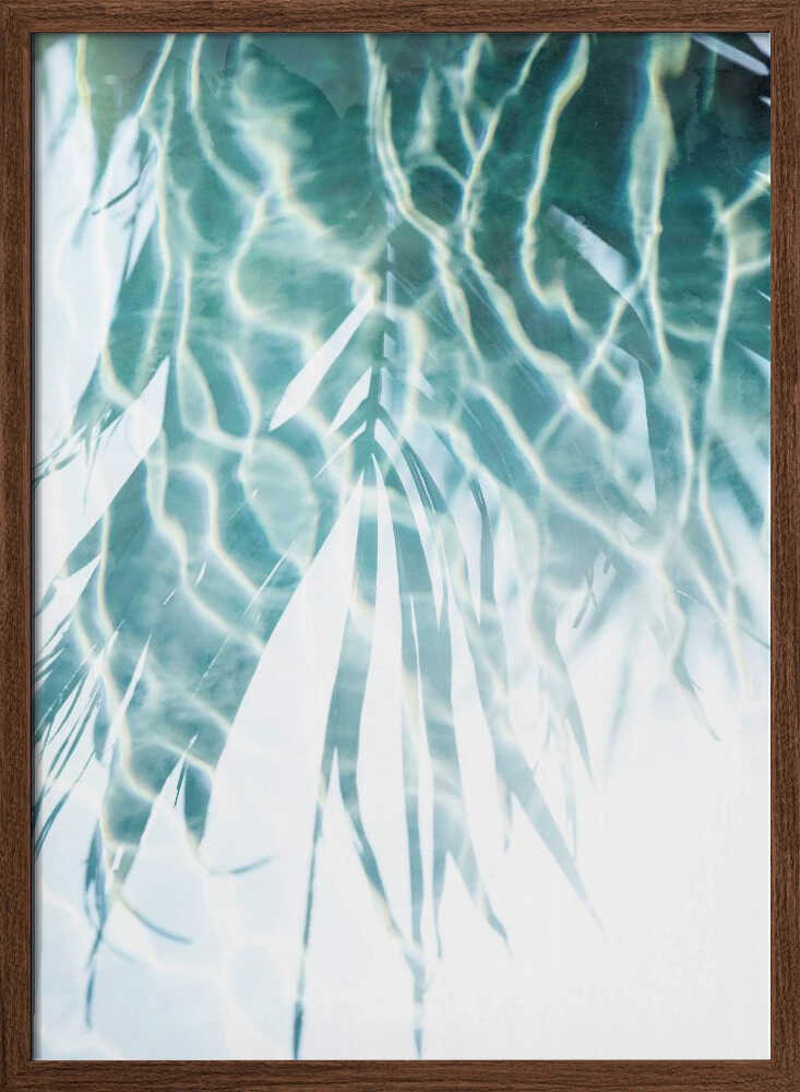 Water Reflections 2