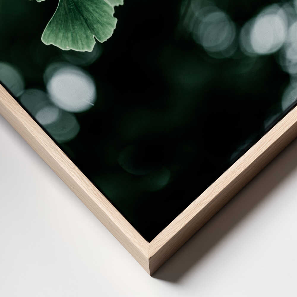 Ginko 1