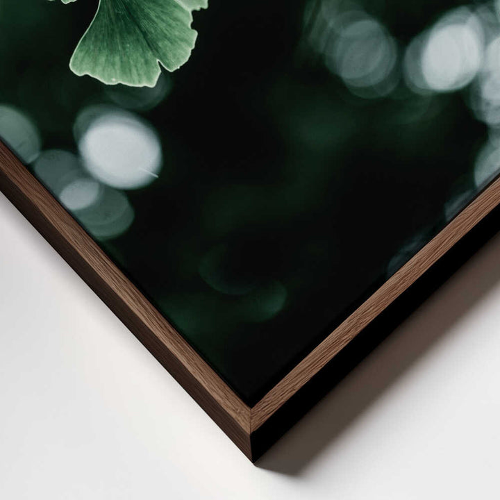 Ginko 1